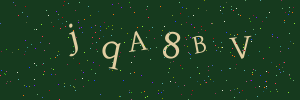 Validation image
